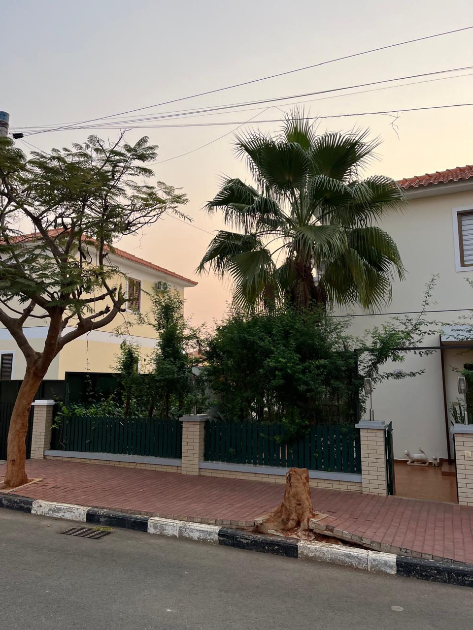 DISPONÍVEL PARA ARRENDAMENTO - Imagem 3